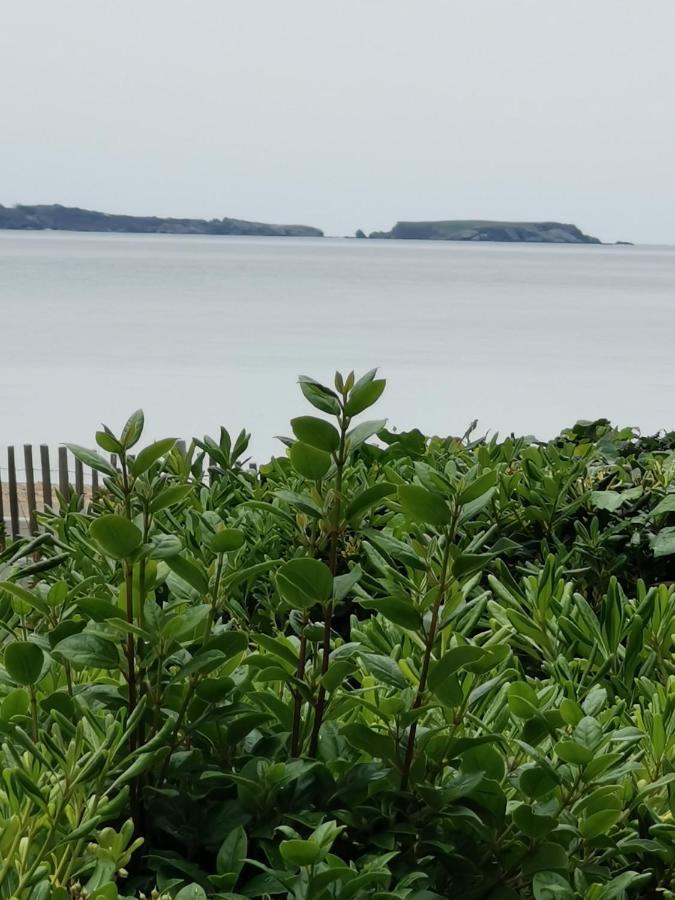 Vue Mer A 20 Metres De La Plage ! Six-Fours-les-Plages Exteriér fotografie